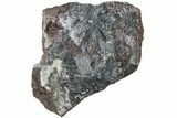 Metallic, Needle-Like Pyrolusite Crystals - Morocco #220640-2